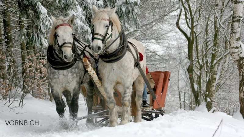 Pferdeschlittenfahrt | Führung Kitzbühel